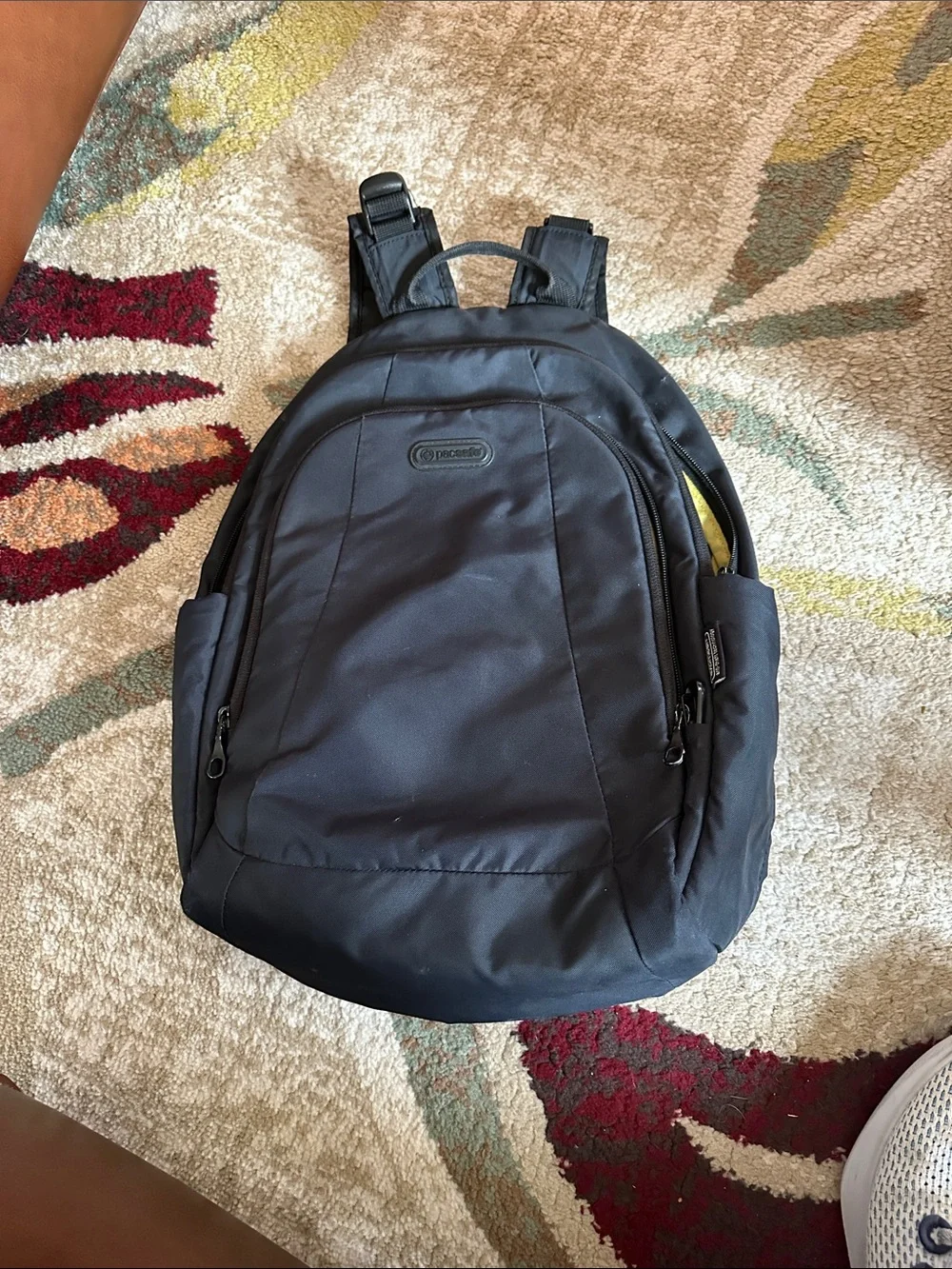 Pacsafe Black Men's Secure Everyday Backpack